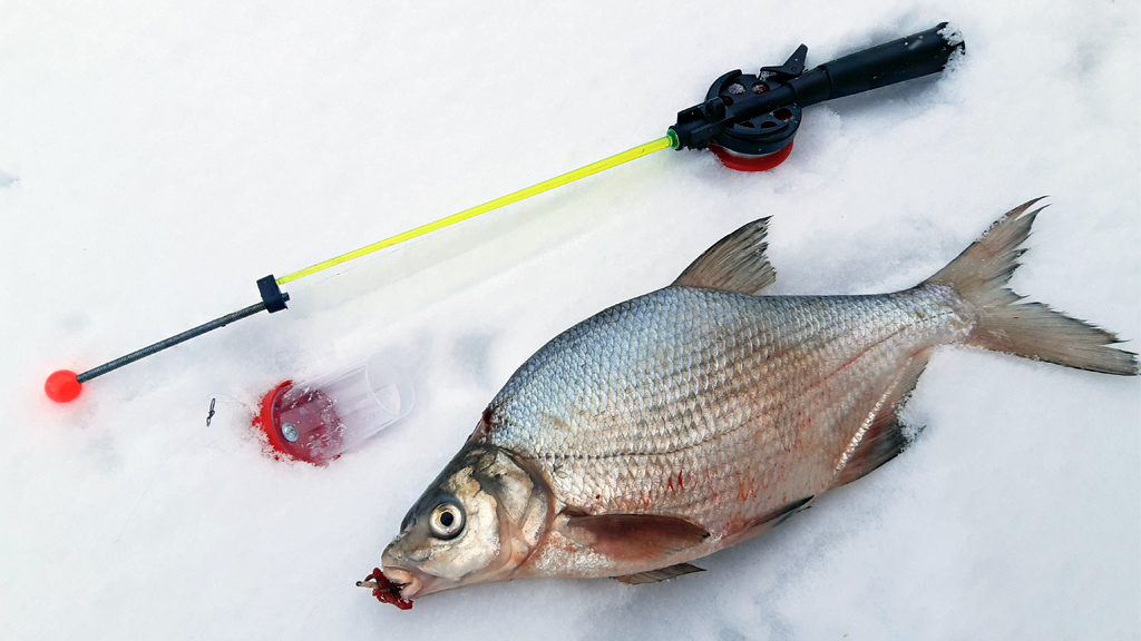 Удочки зимние на леща для рыбалки - купить в рыболовном магазине «Фишемания»